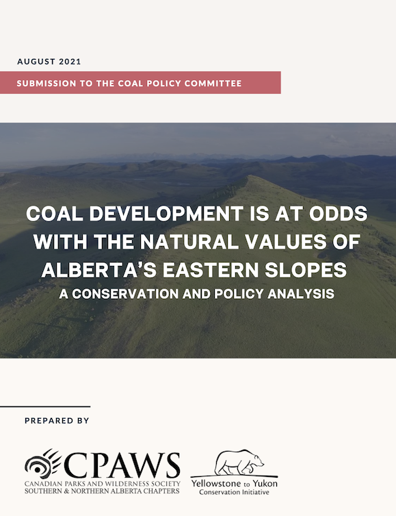Coal Development is At Odds With the Natural Values of Alberta's Eastern Slopes: A Conservation and Policy Analysis - Link to Executive Summary