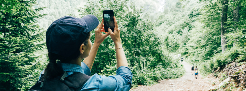 Person taking photo of forest