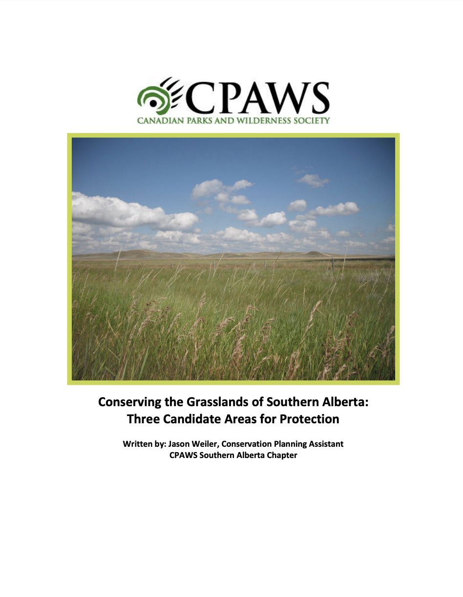 Conserving the Grasslands of Southern Alberta cover page