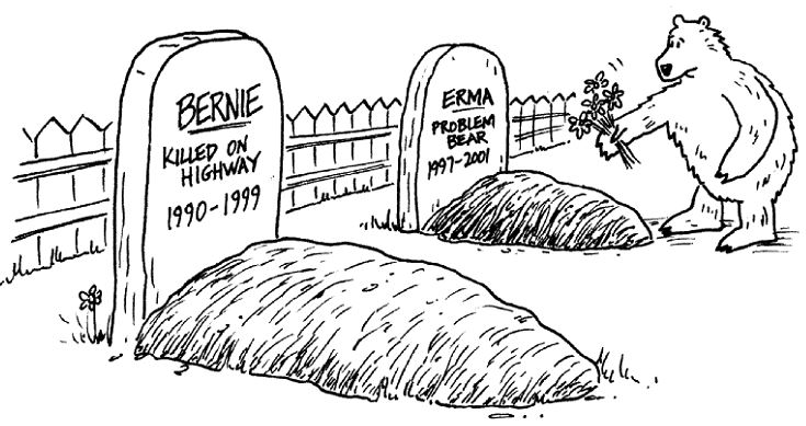 Comic strip showing bear at a cemetary