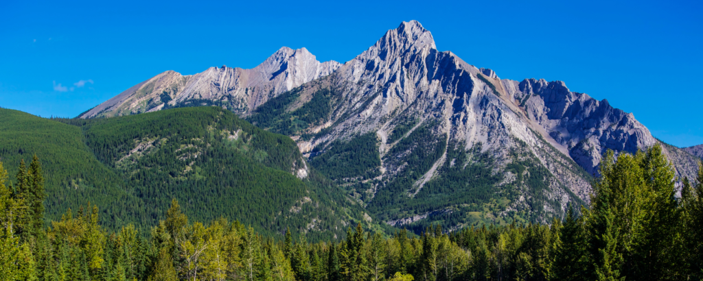 alberta forestry parks and tourism mandate letter