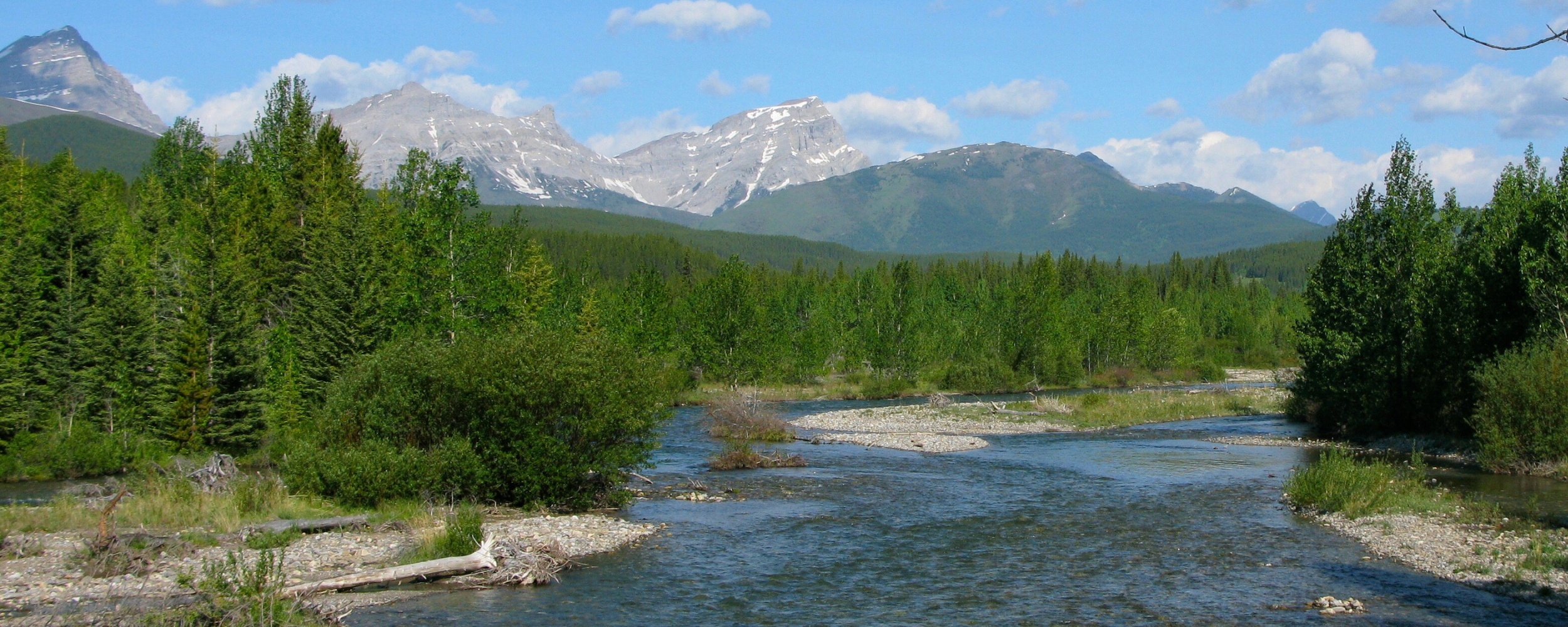 Featured image for “Over 1,100 Hectares of Clearcut Logging Planned for the Upper Highwood in Kananaskis”