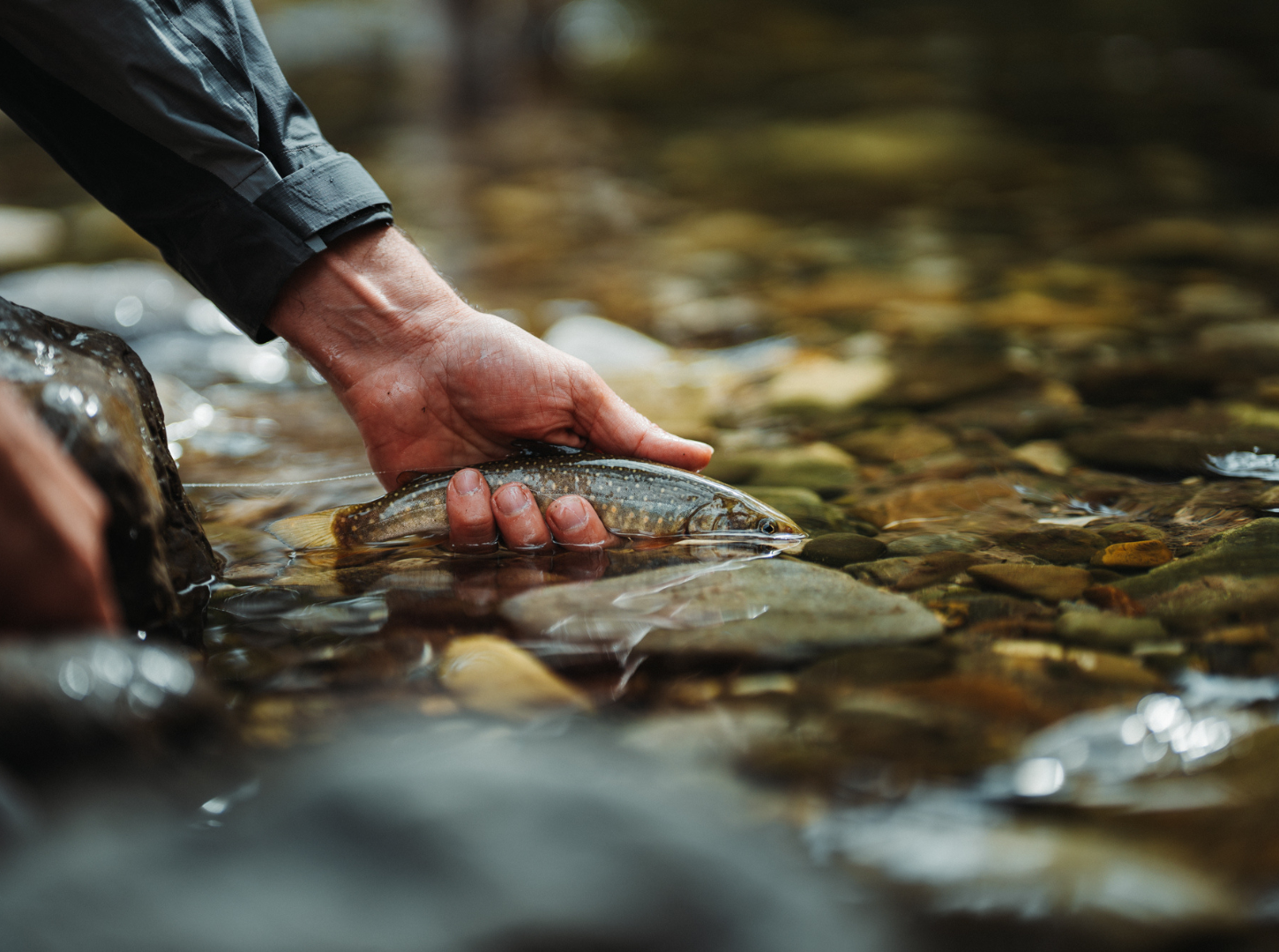 Featured image for “Scale of Change Film Tour with Hooké”