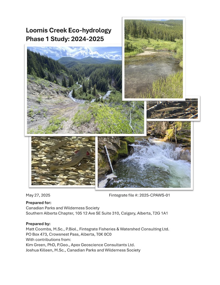 Cover of Highwood Loomis Creek Ecohydrology Report