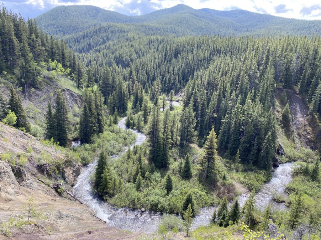 Summary of Report Loomis Creek Ecohydrology 2024-2025. Highwood. Kananaskis.