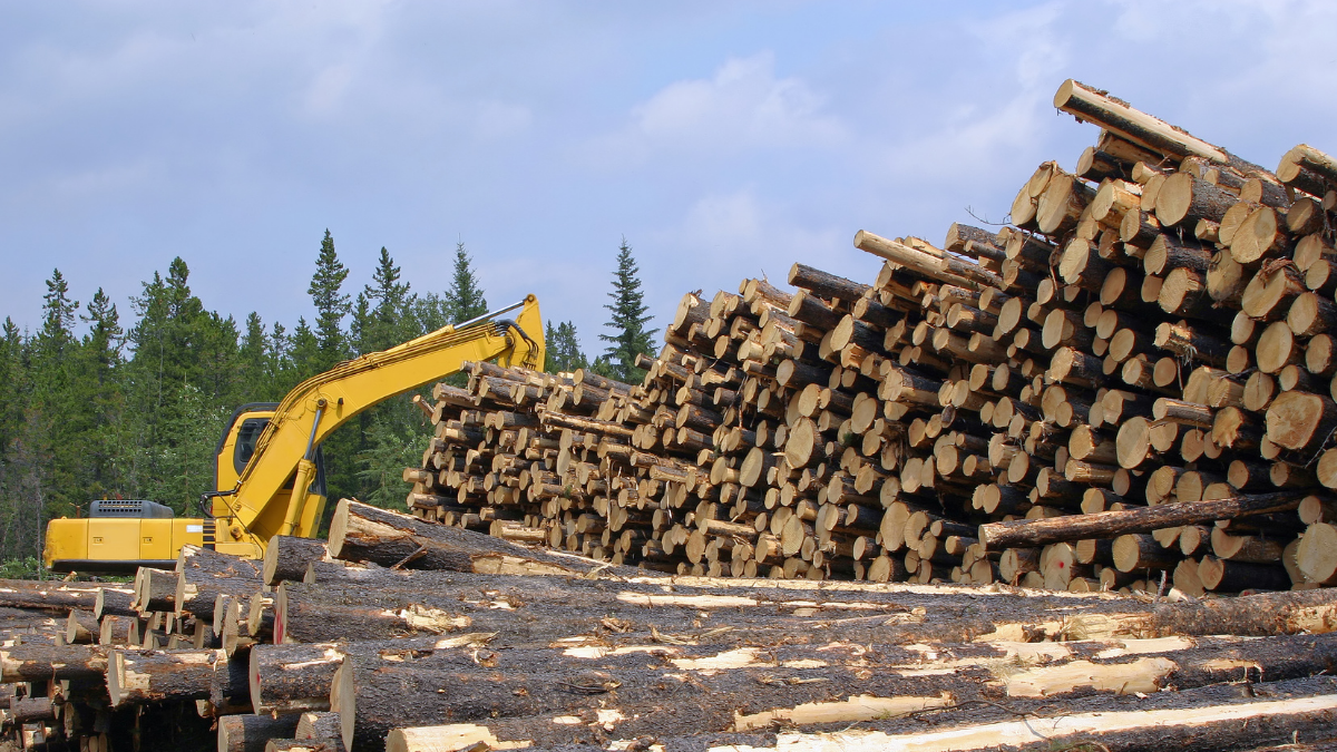 Featured image for “32% Increased Cut Level Sought by West Fraser in Southern Alberta ”