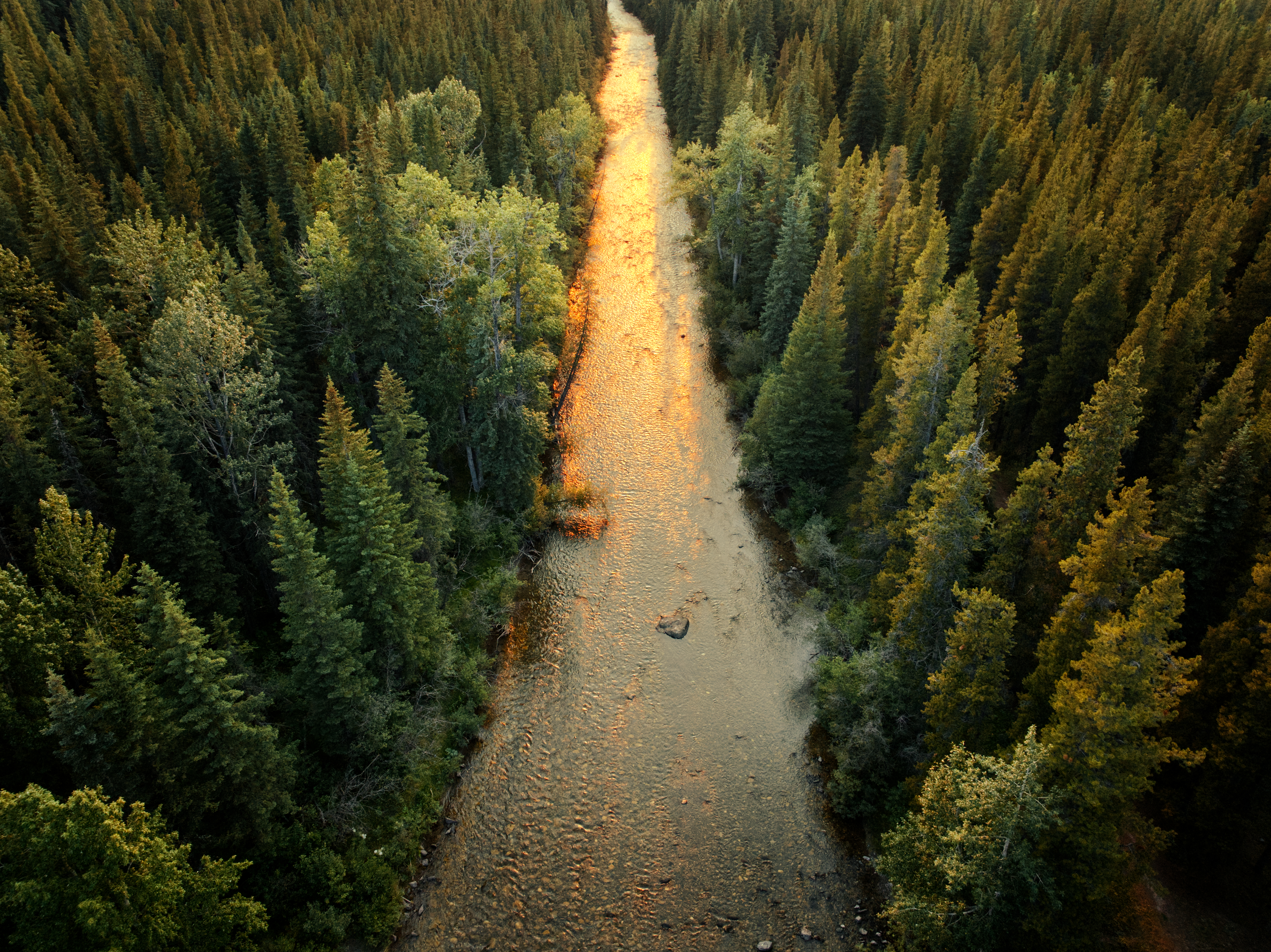 Featured image for “Our Statement on ‘Getting Major Projects Built in Canada’”