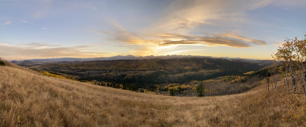 Featured image for “New protected area in the grasslands of Southern Alberta a cause for celebration”