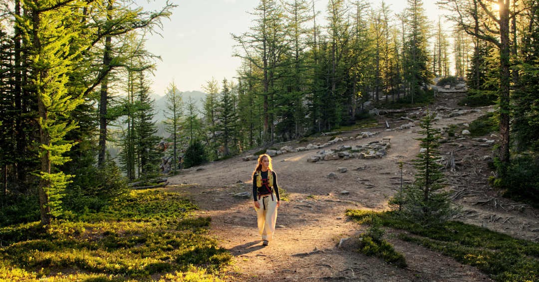 Featured image for “Implementation Pathways for Sustainable Tourism in Alberta ”