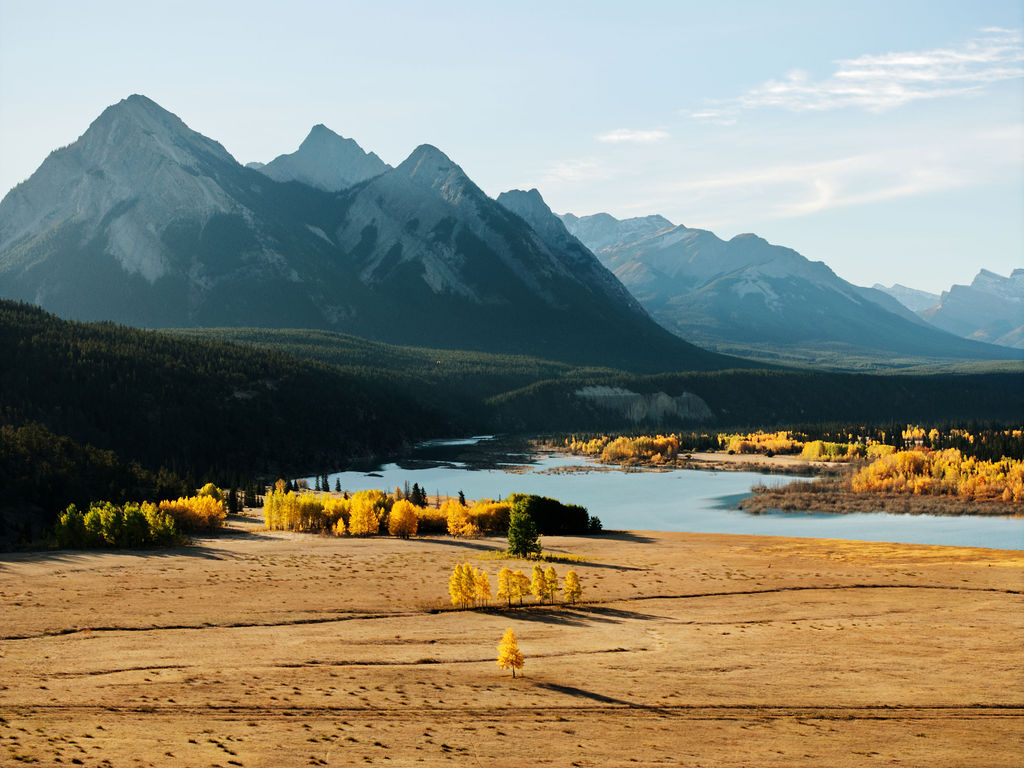 Featured image for “Alberta’s Red Tape Reduction Conservation Initiative ”